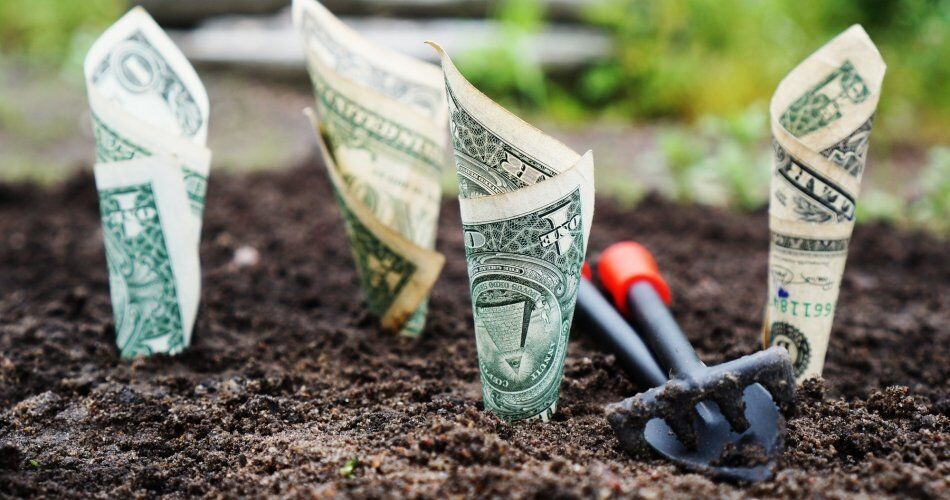 Como inovar com soluções para fluxo de caixa